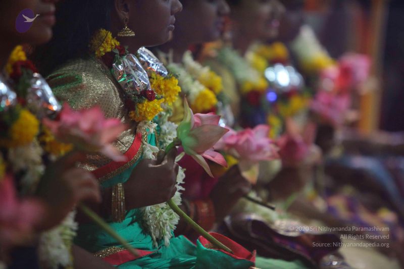 File:20161010 Photo 1466 1hwipuHb3hmr64o6cpDjpqDsdlymIsj5z.JPG