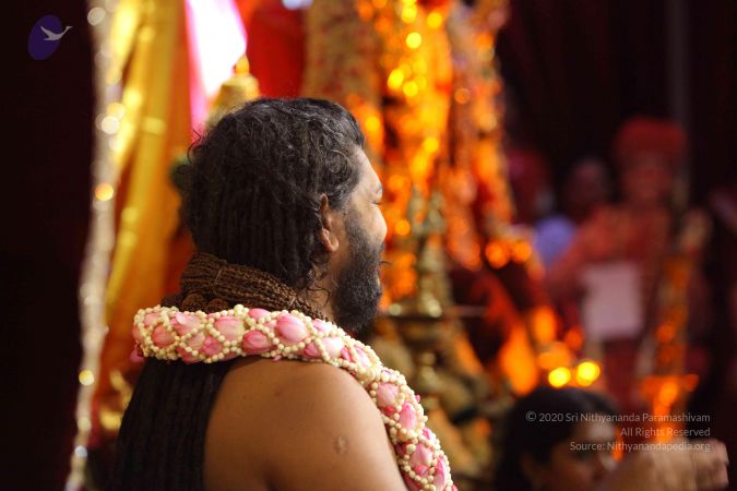 20161011 Photo 1088 1PqPjvyk-hN3itl7asczF15dJfJoeQ5mY.JPG