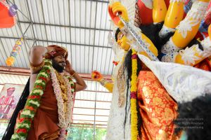 20161011 Photo 1200 1dM-t2dUSLCsJwRdpjEQzOd9sM9yW2VuU.JPG