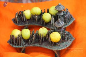 20161011 Photo 1580 1jVXoI5O9lELXK5sum~CjKptvPWRBc9K.JPG