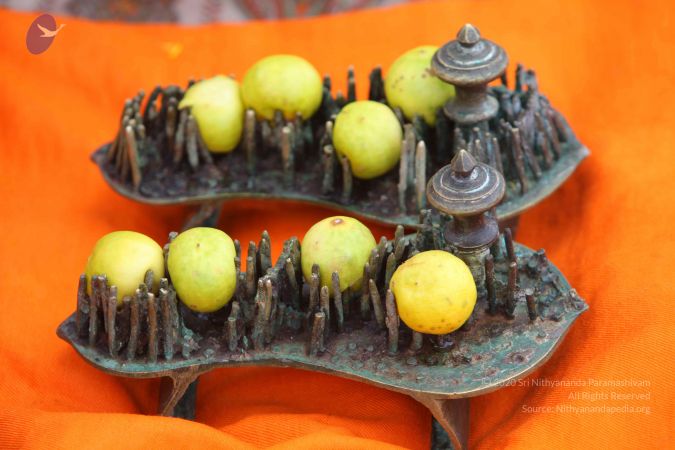 20161011 Photo 1580 1jVXoI5O9lELXK5sum~CjKptvPWRBc9K.JPG