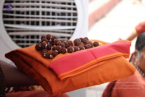 20161011 Photo 1627 1IAQ9jYAtexWuSpYIHU l6A-tOzlZrgdP.JPG