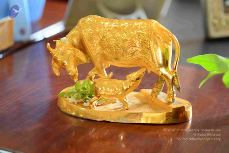 File:20161012 Photo 1018 1eLwZbsLlEg4OGiuatM0KNysmSFkLmvtI.JPG