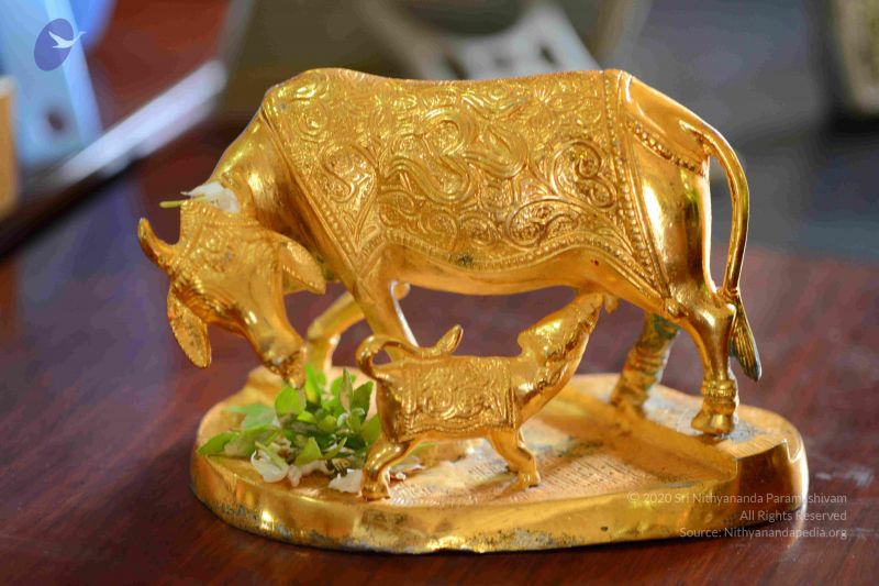 File:20161012 Photo 1024 1doWoB1sooBKnlr2Hlty6J7zgCt6U9ZXx.JPG