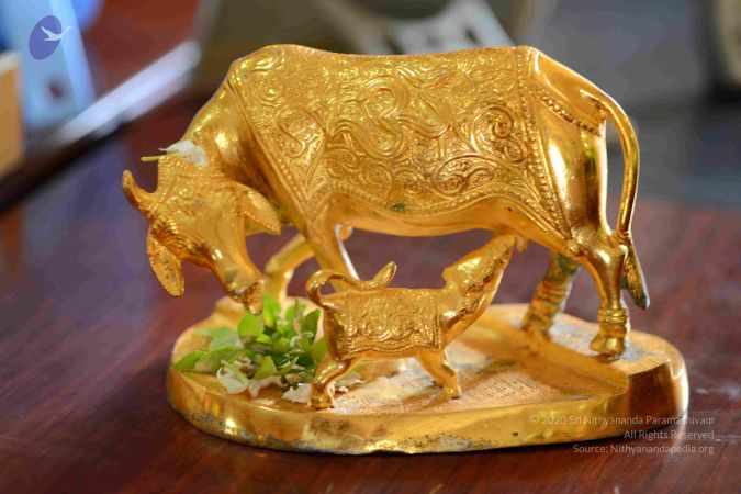 20161012 Photo 1025 1VCvbPHiuX7VtCl3N1OdmOWebCES4uBvA.JPG