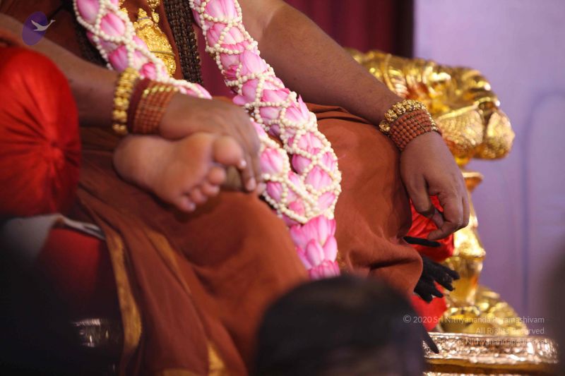 File:20161012 Photo 1358 131q5u894a1ZK-fB2Yoj0jUhkm2omPQpP.JPG