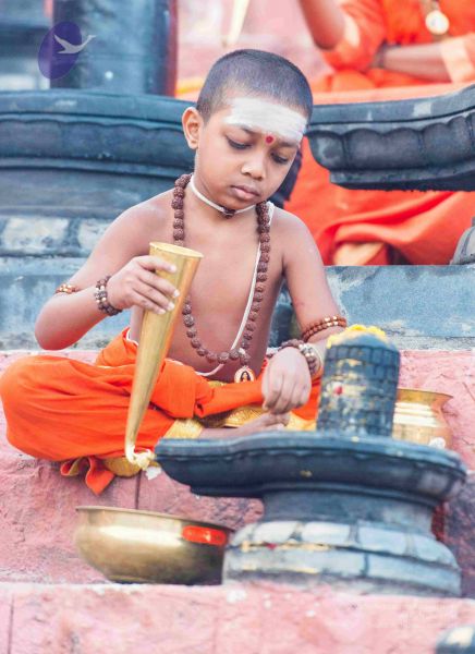 File:20161017 6102 CMP WM.jpg