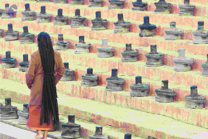 File:20161017 6105 CMP WM.jpg