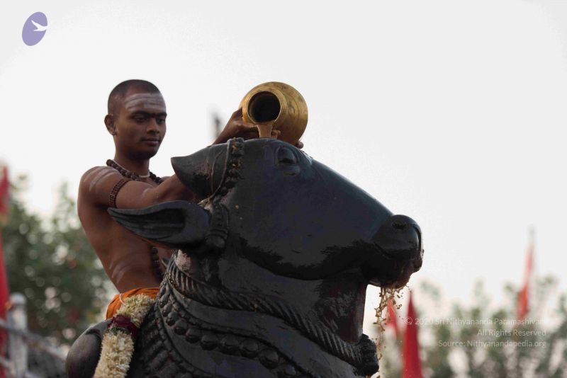 File:20161017 6108 CMP WM.jpg