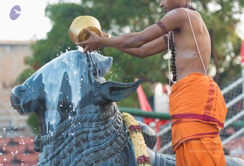 File:20161017 6119 CMP WM.jpg