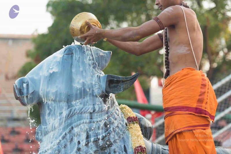 File:20161017 6120 CMP WM.jpg