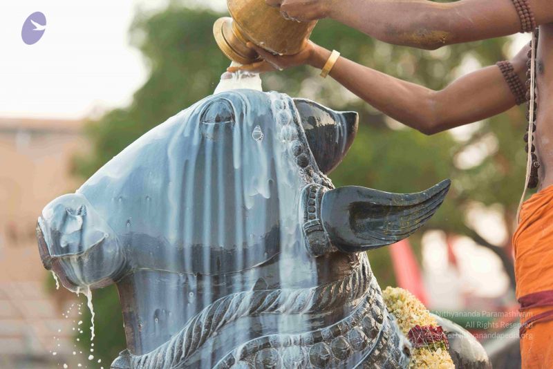 File:20161017 6125 CMP WM.jpg