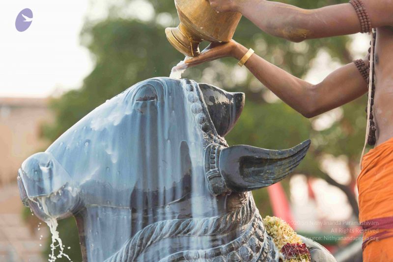 File:20161017 6126 CMP WM.jpg