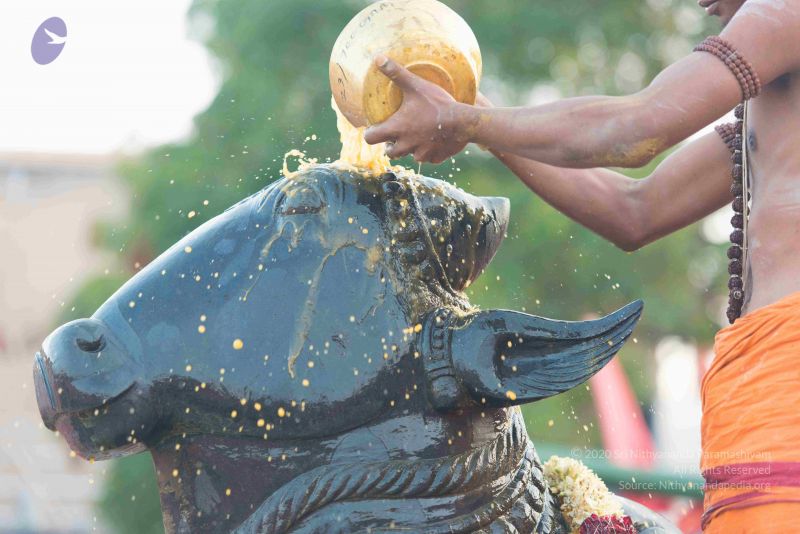 File:20161017 6127 CMP WM.jpg