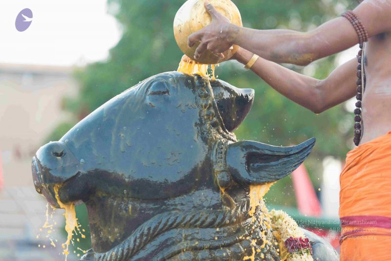 File:20161017 6130 CMP WM.jpg