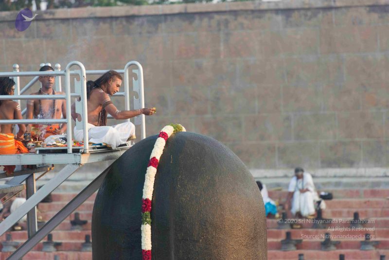 File:20161017 6132 CMP WM.jpg