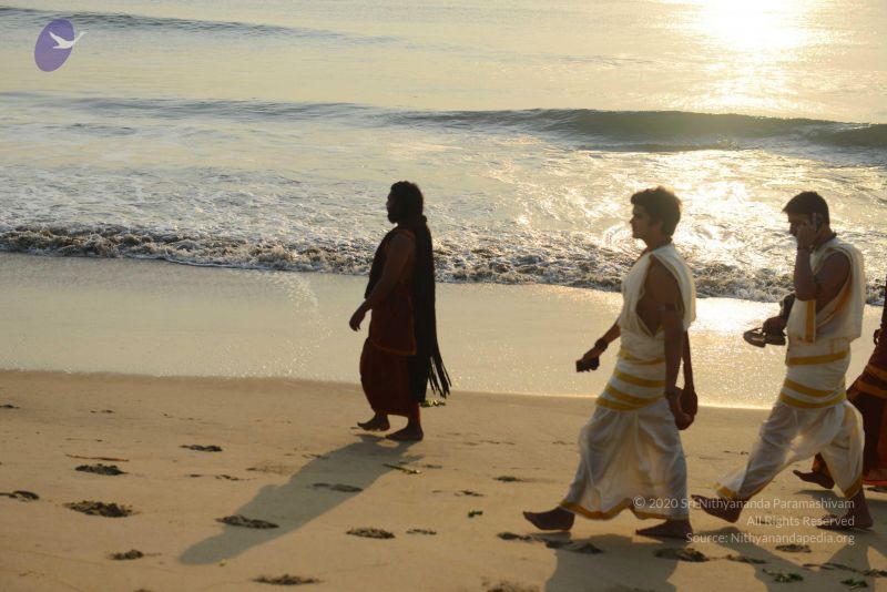 File:20161019 6469 CMP WM.jpg