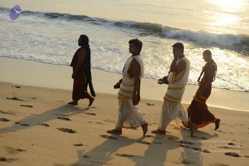 File:20161019 6470 CMP WM.jpg