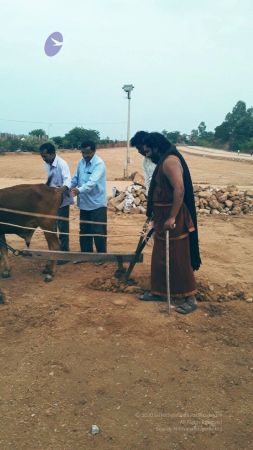 20161026 Photo 1001 11jdZZqbb3JOZ42kt2vDhH20wTvxFEGOs.JPG