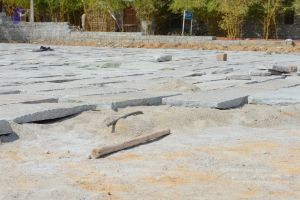 20161028 Photo 1008 1vnahhRJjnBQ8ObDYqxL0j3JoPlZJSCLe.JPG