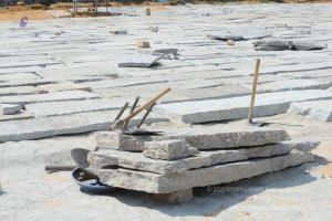 20161028 Photo 105 1uw8R9JSUuBBqb2nrD99vhXKlGNPOdecM.jpg