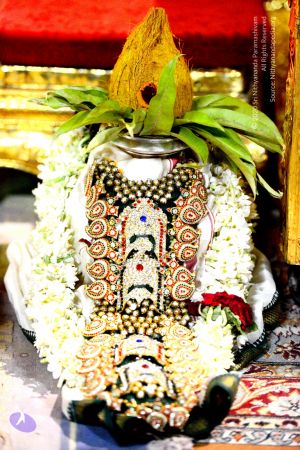 20161029 Photo 1125 18CaqV-L0b-it57K6p 0WRRgn6HlJmlV0.JPG