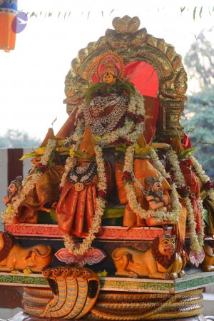 20161029 Photo 1677 1HbOLg4BuGAZ2aMo8x5ClV8VoZama7Pd7.JPG