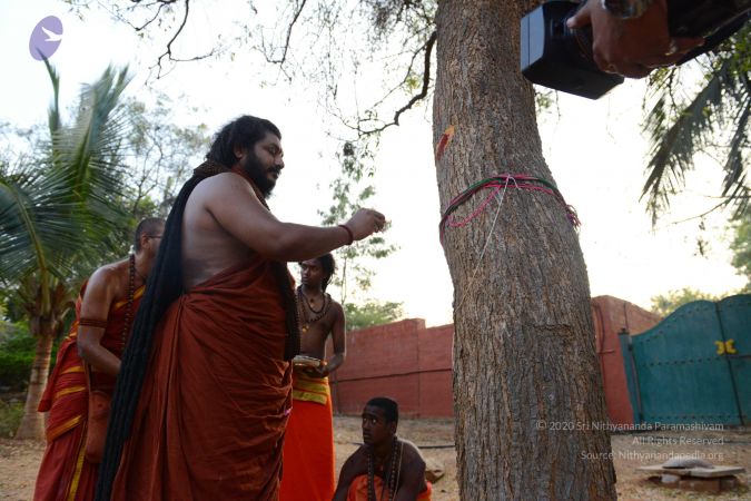 20161031 Photo 1009 1kfBP3zcwqoccz-DI7iCscaj -G6oTLFv.JPG