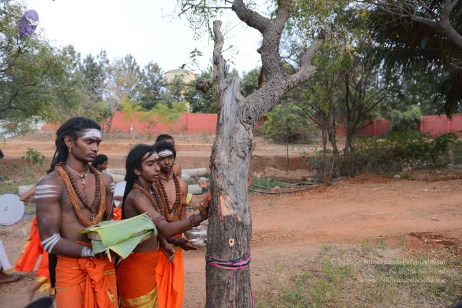 20161031 Photo 1080 13ZhVW1WvpoZupGpcpASLfnAjBYS9zN 4.JPG