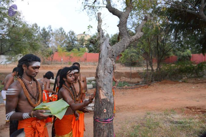 20161031 Photo 1081 1mXlZ909VRhfY8kV-JrT1M65TUAJOXQzI.JPG