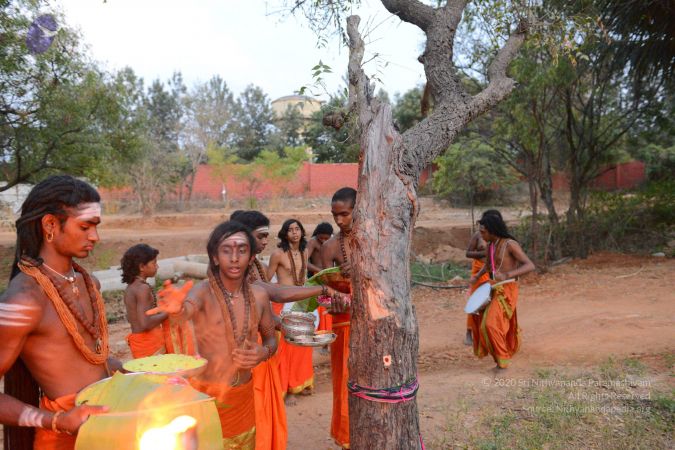 20161031 Photo 1092 14EgXtOiMudcn5-V3wwPT AZ0CeTcG 2-.JPG