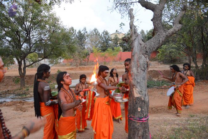 20161031 Photo 1094 1YlHyb7eCIrBNhypSL41TEoVUWN2BnHwC.JPG