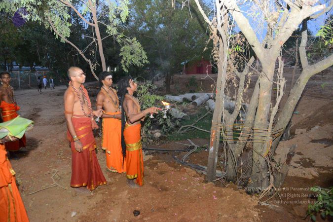 20161031 Photo 1108 1--Z577ZV59KyGrBNJmnJteaZGgpPliqM.JPG