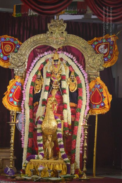 File:20161102 Photo 1017 1JcoUvD1L5dMKdIPLYRJGtv7i63H9QYlz.JPG