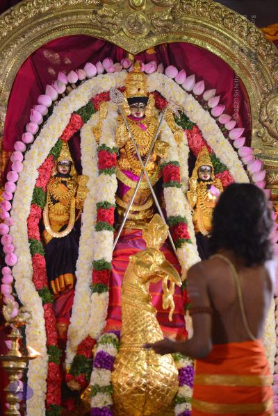 File:20161102 Photo 1022 10R-cCP9nTbi3DoIZCzg5UTqBPU6A e3k.JPG