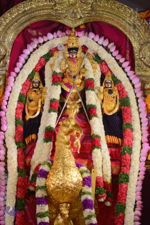 20161102 Photo 1029 19nMMBUge-1Z6B-XRI 2ANr-FSNW4V2hi.JPG