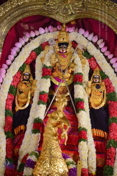 File:20161102 Photo 1031 1BvrOkNKMr12TL9wgevrr0wvJjGUUHWLX.JPG