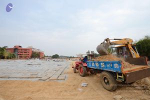 20161102 Photo 1102 14H5LrhJBYBqTrjxEchWKLD-hQaqSYAz6.JPG