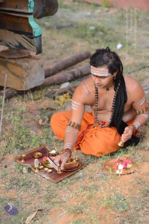 20161103 Photo 1016 1Cdtju4tUESwUhZZKdx6yCHCFUnAr1pDQ.JPG