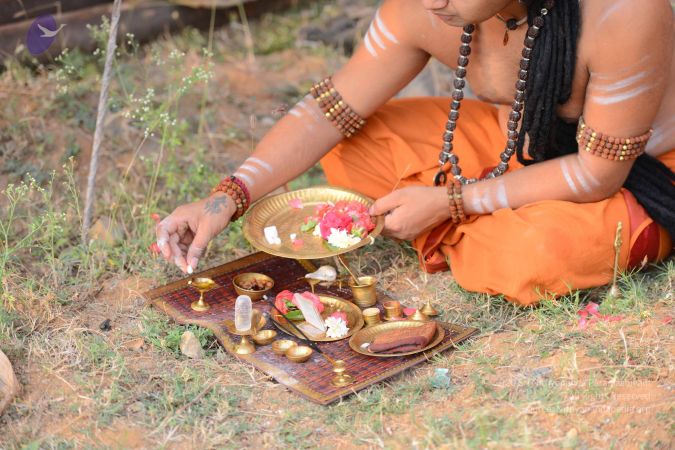 20161103 Photo 1017 1P5ZP5w5zPxVCGtlNVEyrtCPIKQgNW~O.JPG