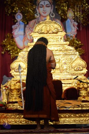 20161103 Photo 1236 18S396sN-npsmcjKBDlXYg-zKs9hrnZ h.JPG