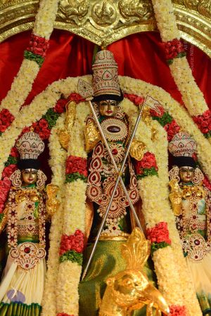 20161103 Photo 1241 1KVYTlDYNQdnY2HZkCPObtDxmXeQnsUJh.JPG