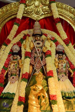 20161103 Photo 1244 1mGfZ1KLm5nq09mo14g-hXGmkCWauRJ5D.JPG