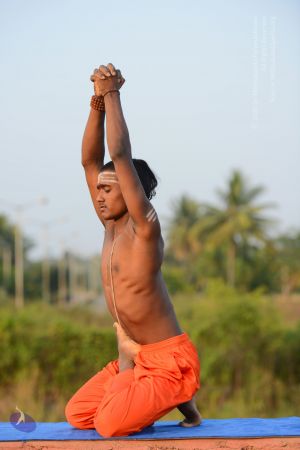 20161104 Photo 1209 1CxIoOeZf20svmZ1WXnz3O35rhpgKfQ7U.JPG