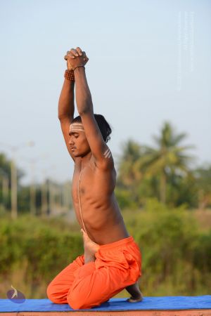 20161104 Photo 1210 1LJ1lBZ3Ga0URdlllyR7RCzoNOz3UZteU.JPG