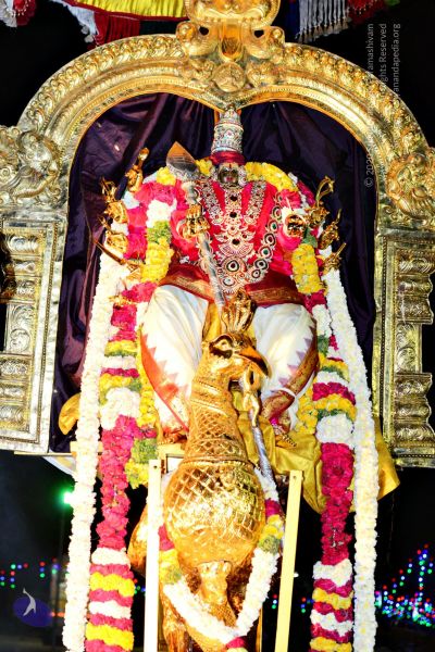 File:20161105 4347 CMP WM watermark.jpg