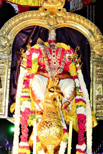 File:20161105 4348 CMP WM watermark.jpg