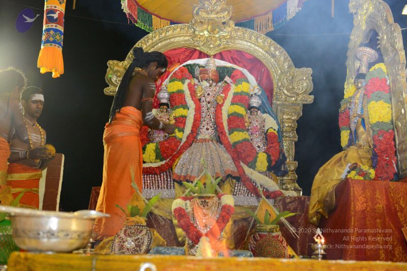 File:20161106 Photo 1127 12JEj9lXuW7wJw3X7cpsj0X8QX3wdyawx.JPG