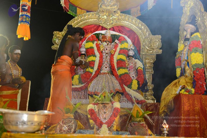 File:20161106 Photo 1128 15jtgSMtSTvZwteG8BTPSWkbqtviUZw K.JPG