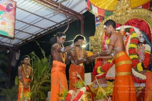 20161106 Photo 1132 1JMrSxBaLiz D47n3C10 6yhkgE2B4aeg.JPG